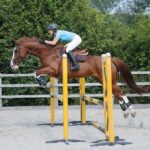 Horse Jump Cups: Safety Tips Every Rider Should Know