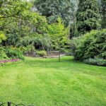 Creating a Sustainable and Lush Garden: Tips for Novice and Experienced Gardeners