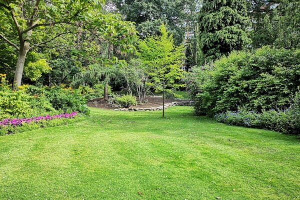 Creating a Sustainable and Lush Garden: Tips for Novice and Experienced Gardeners