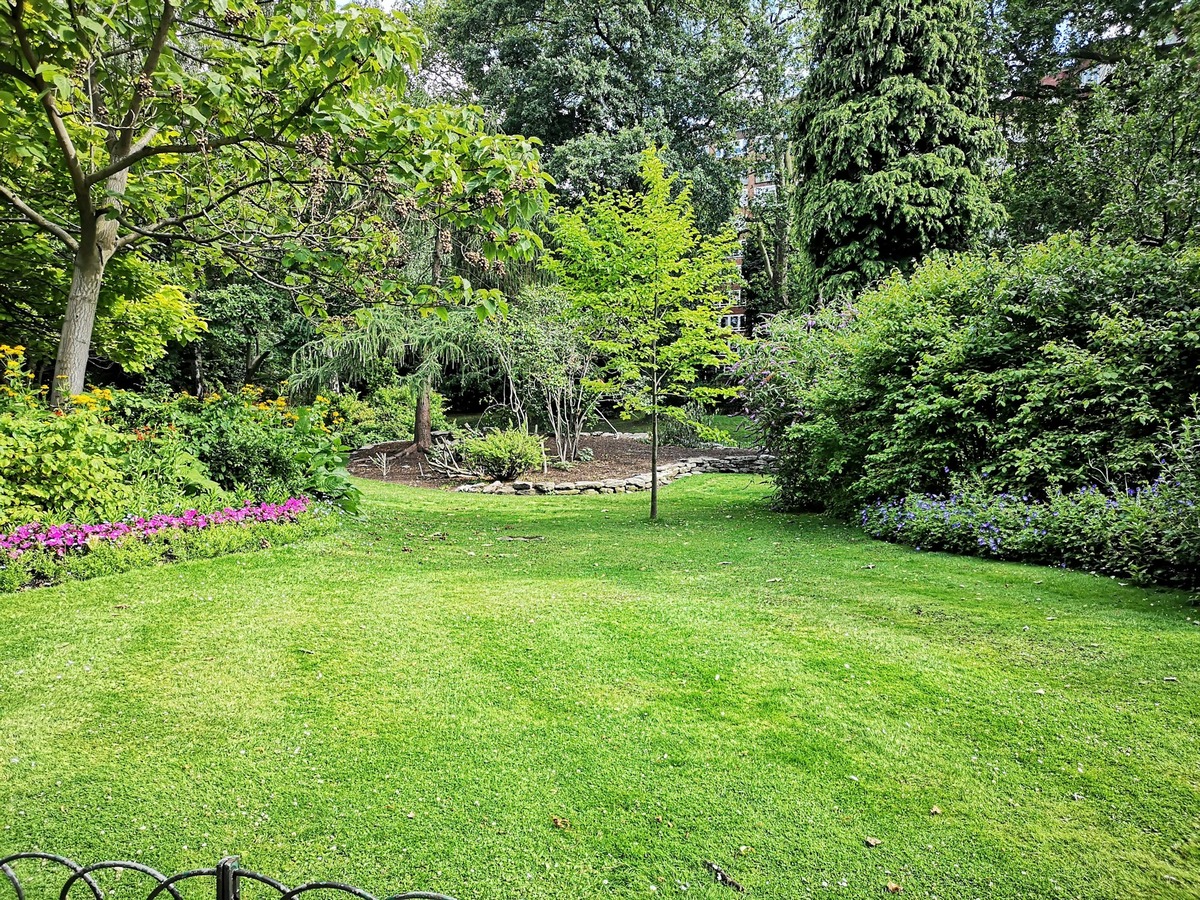 Creating a Sustainable and Lush Garden: Tips for Novice and Experienced Gardeners