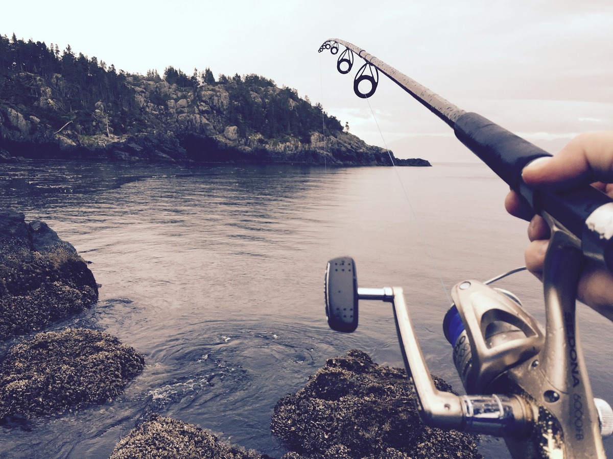 Enhance Your Fishing Experience: Rod & Reel Tips