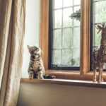 The Fenestration Fidelity Framework: An Expert's Compendium for Navigating the Nuances of Replacement Window Selection