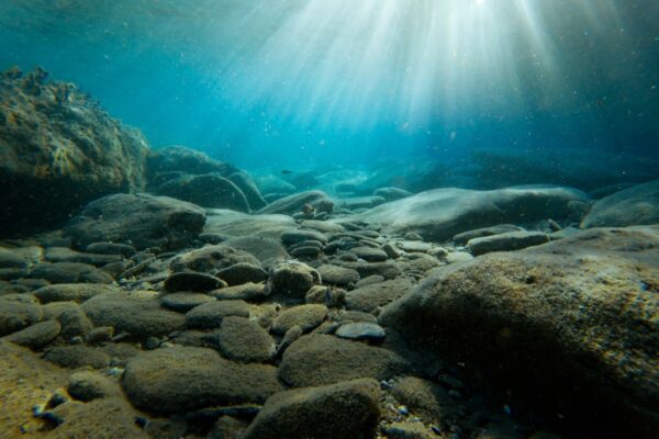 Pernithia Galnith: An ecological wonder worth protecting Pernithia Galnith: An ecological wonder worth protecting