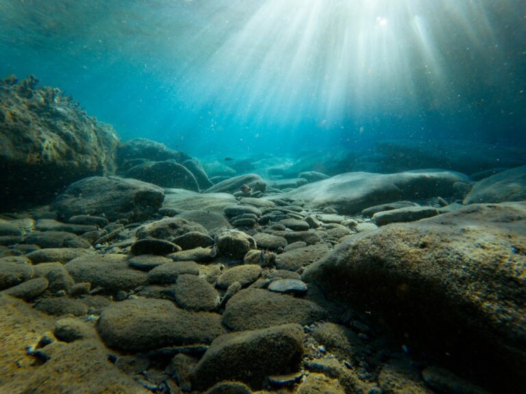 Pernithia Galnith: An ecological wonder worth protecting